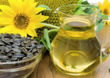 Український ринок соняшникової олії зберігає високу активність – ЭКОНОМИКА