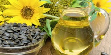 Український ринок соняшникової олії зберігає високу активність – ЭКОНОМИКА