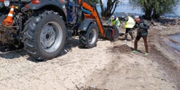 Бондаренко розповів, скільки вже вивезли водяного горіха з пляжів Черкас — Новини Черкащіни