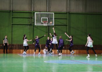 Чемпіонат України ВЮБЛ серед дівчат 2008 року: анонс фінального етапу – Федерація баскетболу України