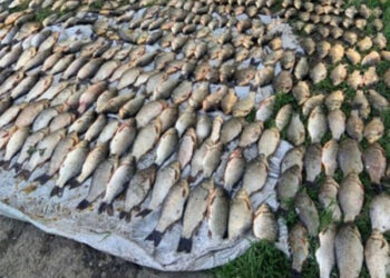 Чоловік незаконно рибалив у Запоріжжя на гумовому човні з п’ятьма сітками – збиток рибному господарству 896 104 грн. | Новости Запорожья