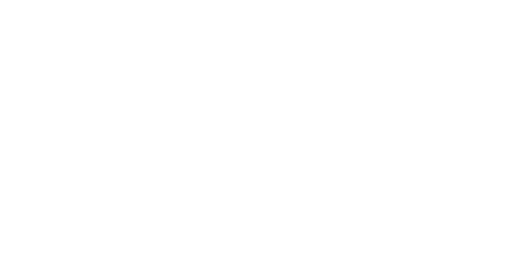 «Динамо» потеряло очки в матче с «Колосом» в завершающем туре УПЛ сезона-2024/25