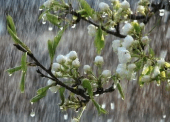 Дощі на Черкащині: де випало найбільше опадів