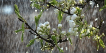 Дощі на Черкащині: де випало найбільше опадів