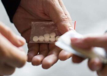 Інспектора Миколаївського СІЗО звільнили від ув’язнення за збут наркотиків :: Інтент :: Суспільно-політичне видання:: Регіональна мережа якісної журналістики