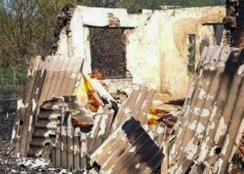 Масштабні пожежі на Львівщині: згоріли 11 дачних будинків