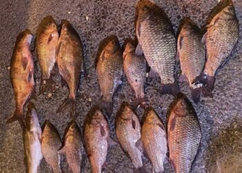 На Черкащині чоловік виловлював рибу у заказнику