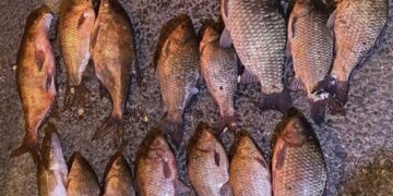 На Черкащині чоловік виловлював рибу у заказнику