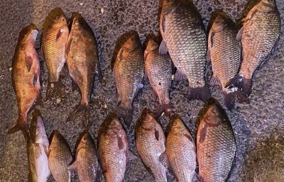 На Черкащині чоловік виловлював рибу у заказнику