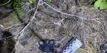 На Черкащині патрульні зупинили водія під наркотиками без документів та з холодною зброєю 