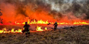 На Черкащині протягом доби вигоріло понад 35 гектарів