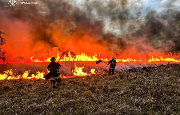 На Черкащині протягом доби вигоріло понад 35 гектарів