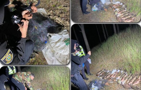 На Черкащині спіймали браконьєра з лящами на понад 40 тисяч