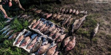 На Черкащині спіймали “на гарячому” браконьєрів із мішками риби