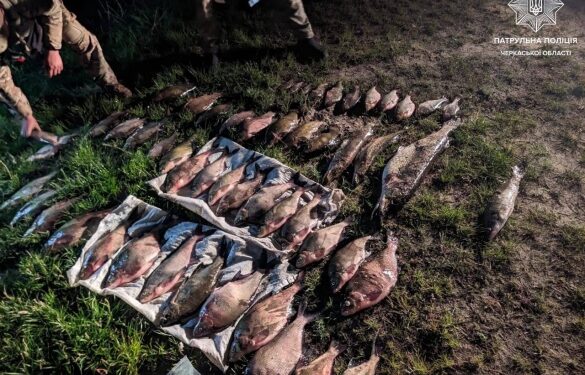 На Черкащині спіймали “на гарячому” браконьєрів із мішками риби