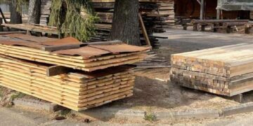 На Одещині зупинили нелегальний експорт деревини до Європи :: Інтент :: Суспільно-політичне видання:: Регіональна мережа якісної журналістики