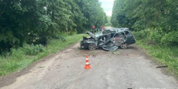 На Уманщині водій в’їхав у дерево та загинув 