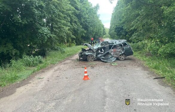 На Уманщині водій в’їхав у дерево та загинув 