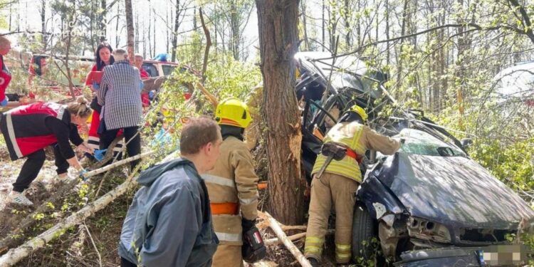 На Житомирщині авто злетіло в кювет, перекинулося і врізалося в дерево: потерпілих деблокували рятувальники ДСНС | Журнал Житомира