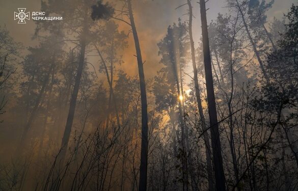 На Золотоніщині ліквідували масштабну лісову пожежу