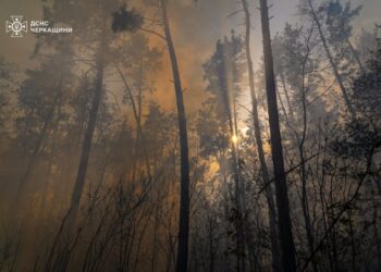На Золотоніщині триває ліквідація масштабної пожежі