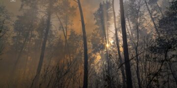 На Золотоніщині триває ліквідація масштабної пожежі