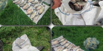 На Золотоніщині викрили браконьєрів на Кременчуцькому водосховищі