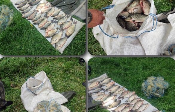 На Золотоніщині викрили браконьєрів на Кременчуцькому водосховищі