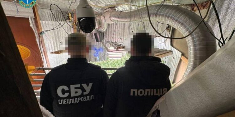 Наркотики, гроші, пістолет та гранати: на Шепетівщині викрили банду наркоторговців —Хмельнитчина