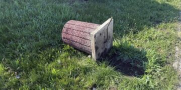 Невідомі пошкодили дерева та викрали квіти в центрі Христинівки