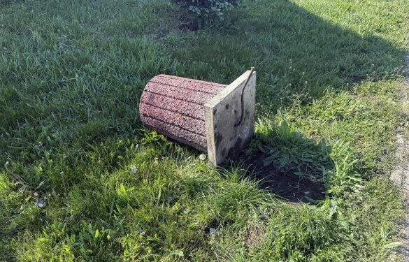 Невідомі пошкодили дерева та викрали квіти в центрі Христинівки