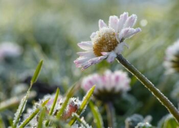 Погода в Запоріжжі на вихідних 3 та 4 травня – синоптики прогнозують заморозки | Новости Запорожья