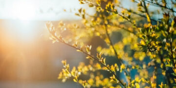 Прогноз погоди на 15 та 16 травня у Запоріжжі – що очікувати містянам  | Новости Запорожья