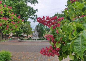Прогноз погоди у Запоріжжі на 8 та 9 травня – грози, шквали та зниження температури | Новости Запорожья