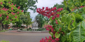 Прогноз погоди у Запоріжжі на 8 та 9 травня – грози, шквали та зниження температури | Новости Запорожья