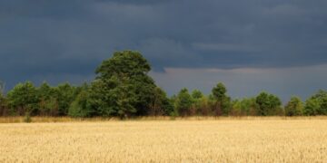 Синоптики попереджають про грози на Черкащині