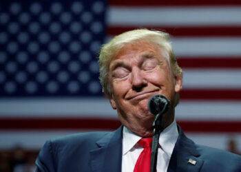 Трамп загнав себе в глухий кут у відносинах із Путіним щодо війни в Україні — The Hill – Экономика