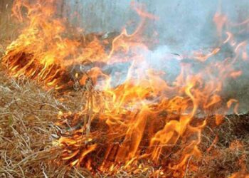 У Черкаському районі через людську безвідповідальність горіло більше 7 гектарів території 