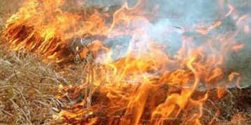 У Черкаському районі через людську безвідповідальність горіло більше 7 гектарів території