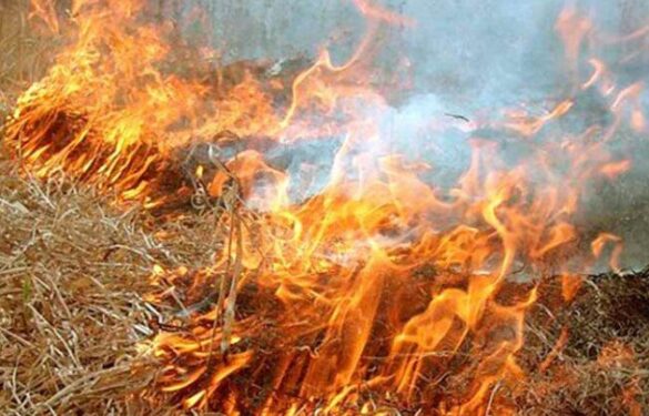 У Черкаському районі через людську безвідповідальність горіло більше 7 гектарів території