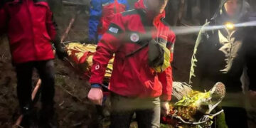 У лісі на Прикарпатті помер чоловік (ФОТОФАКТ)