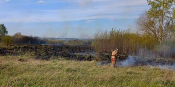 У Попільні масштабна пожежа ледь не перекинулась на дачні будинки | Журнал Житомира
