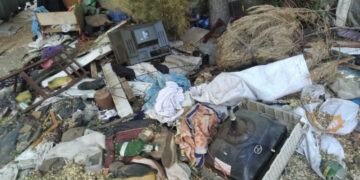 У Запоріжжі виявили сміттєзвалище навпроти житлового будинку – екологи розповіли подробиці  | Новости Запорожья