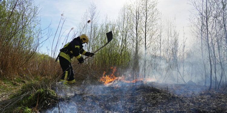 Уламки російського дрона спричинили пожежу на Полтавщині