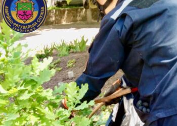 В одному з районів Запоріжжя біля школи помітили змію – рятувальники виловили та повернули плазуна до природи | Новости Запорожья