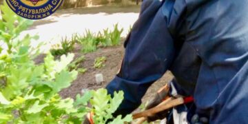 В одному з районів Запоріжжя біля школи помітили змію – рятувальники виловили та повернули плазуна до природи | Новости Запорожья