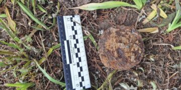 В Умані на території гімназії виявили небезпечний боєприпас