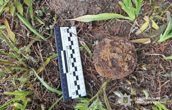 В Умані на території гімназії виявили небезпечний боєприпас