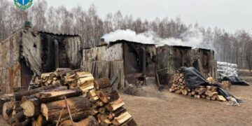 Випалював деревне вугілля та рубав дерева: за шкоду довкіллю судили мешканця Полонного —Хмельнитчина