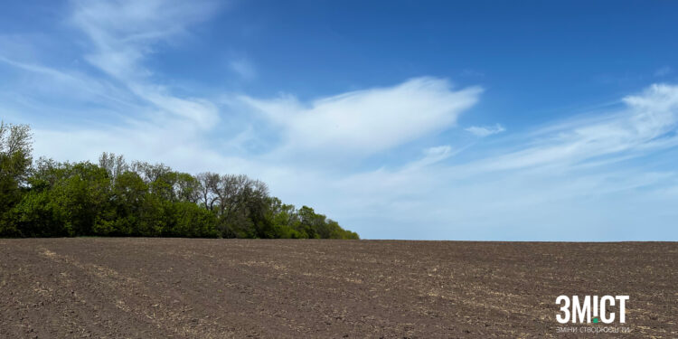 12 громад Полтавщини планують перевірити стан лісосмуг
